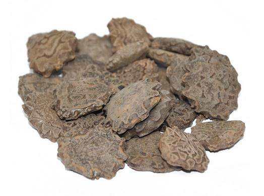 木别子 6斤包邮 木鳖子 500克8元 中药材供应 公司销售