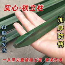 Barbed wire fence column cattle fence net column Y-shaped triangle iron solid column pointed column thickened breeding cattle and sheep outdoor