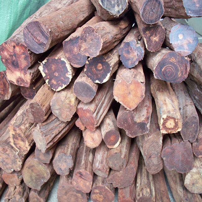 老挝黄花梨原木料海南黄花梨手串佛珠料手把件木料降真香弹弓料