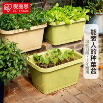 Love Lith Flower Pot Balcony type Vegetable Basin Rectangular Large plastic Vegetable Basin Alice Cultivation Multi-Meat Flower Pots
