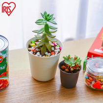 Love Reith IRIS Home Desktop Meat Plant Simple Flower Pot Multi Meat Flower Plant Plastic Mini small flower pots