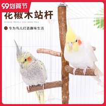 Zanthoxylum Myrna Brother Thrush Parrot Bird Station Stick Bird Station Stick Bird Station Stick Station Bar Grinding Claw Bars Multi-fork Jumping Station Frame