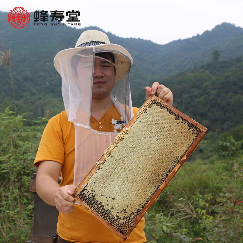 蜂寿堂益母草蜂蜜大别山蜂农自产纯正野生天然成熟原蜜500g产品展示图4