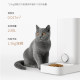 ໃຫຍ່ Pineapple Xiaopei Mini Cat Intelligent Feeder ອັດຕະໂນມັດ Timeed Fresh Feeder Feeder Desiccant