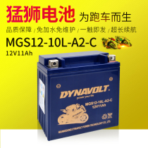 Fierce Lion 12V11 An Maintenance Colloidal Dry Battery Electric Storage Bottle Cross Riding Locomotive Force Sail V16 Wangjiang 250