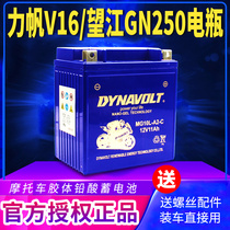 Lipa v16v tank LF250-D E P Lion Motorcycle Rubber Vetal battery 12v dry battery GN250 Prince