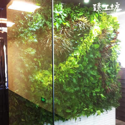 【真植物墙】室内外立体草皮绿植墙面美化装饰草坪墙垂直绿化工程产品展示图5