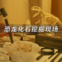 Dinosaur fossil Tyrannosaurus Rex skeleton model children handmade diy digging gem treasure archaeological excavation toy