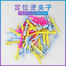 Beauty Hair Positioning Scalding Clip Pickup Truck Road Texture PP Partition Styling Small Clip Bagged Cold Hot Cross Hair Positioning Clip