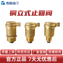 Xiuhui 4 points 6 points DN20 brass vertical angle type horizontal automatic vent valve Home Heating pipe bleed valve