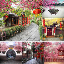 Photo studio shooting background cloth childrens photo photography Chinese style ancient costume family photo ancient style courtyard exterior background paper