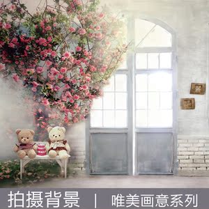 影楼拍摄背景布淘宝拍照广告儿童摄影主播直播