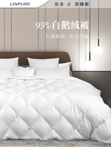 Blue platinum quilt quilt quilt core 95% white goose down Spring and Autumn quilt thin quilt air conditioning light fluffy comfortable