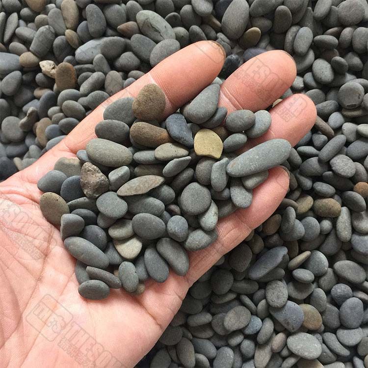 铁胆沙 黑工砂乌龟石鱼缸造景装饰底南美沙黑棕沙鳖虾沙包邮