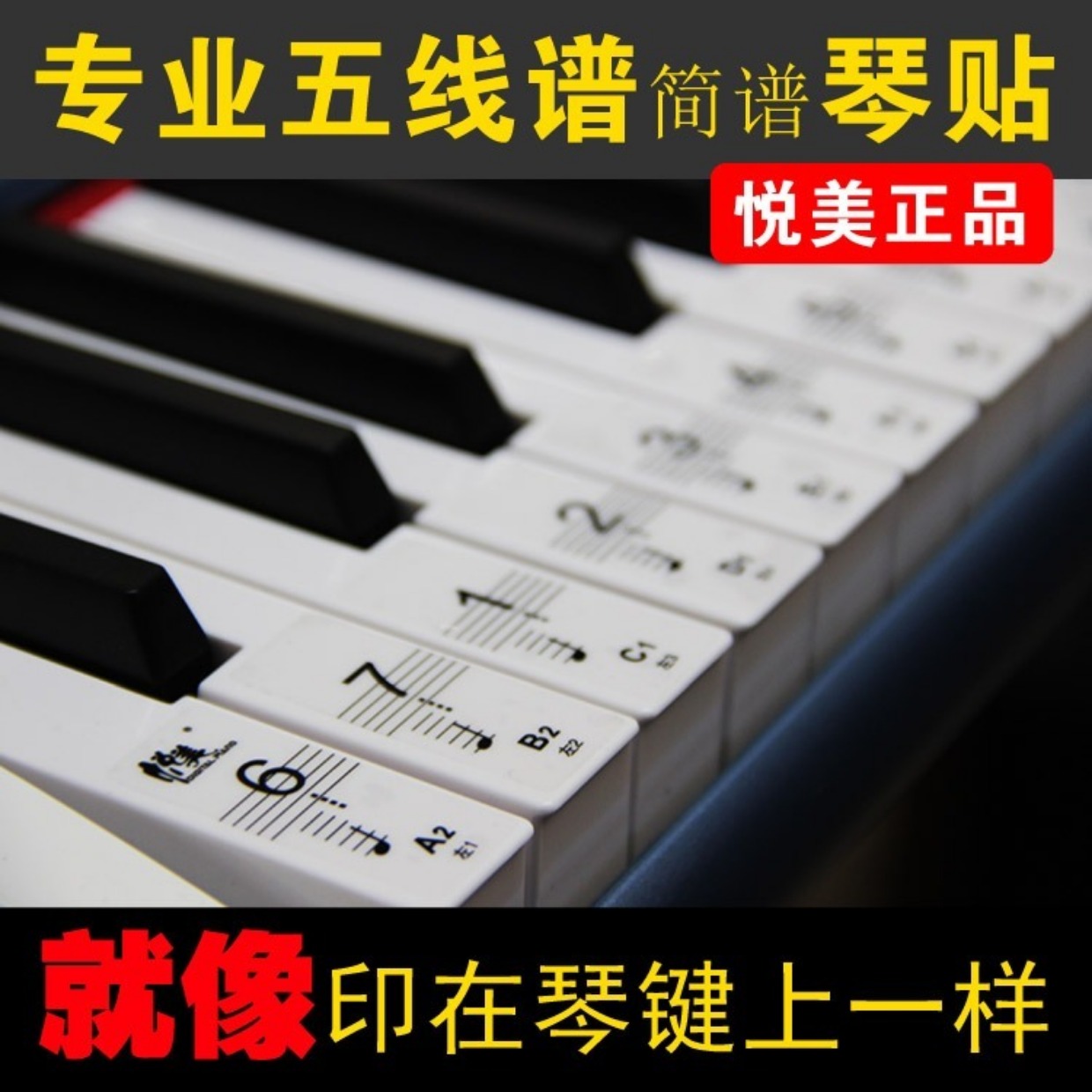 炫彩防水88键61键54键专业透明电子琴键盘贴纸钢琴五线谱简谱键位