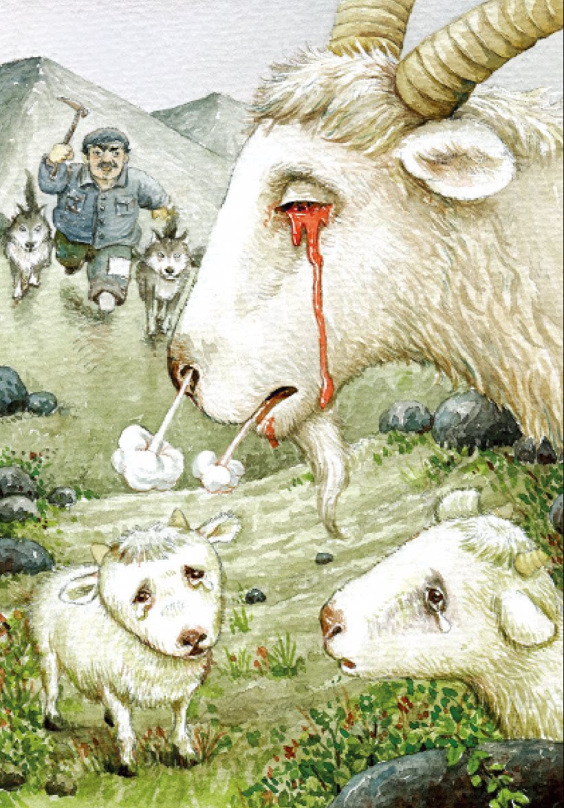 跳蚤剧团(典藏版)(精) 丁丁当当 中国儿童文学书籍 6-12岁少年儿童小