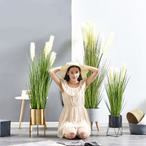 Nordic reed grass simulation ins fake flower plant potted living room decoration fake bonsai indoor home floor furnishings