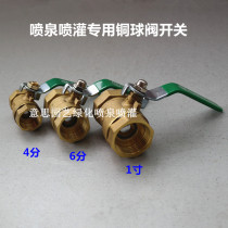 4 minutes 6 minutes 1 inch fountain head special copper ball valve brass inner wire tap water switch silk mouth water valve water pipe copper valve