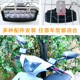 Electric car lights super bright led headlights externally installed car lights 60v glare universal battery car lights spotlights led lights Electric car lights super bright led headlights externally installed car lights 60v glare universal battery car lights spotlights led lights