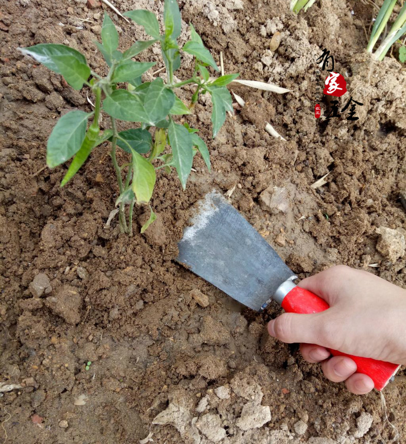 绿化园艺铲农用工具花园种花种菜铁铲子小锄头耙锄菜园除草挖野菜