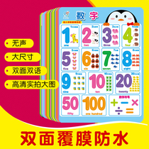 Baby cognitive Wall Chart childrens pinyin fruit childrens Enlightenment picture silent double-sided full set of wall stickers early education wall chart