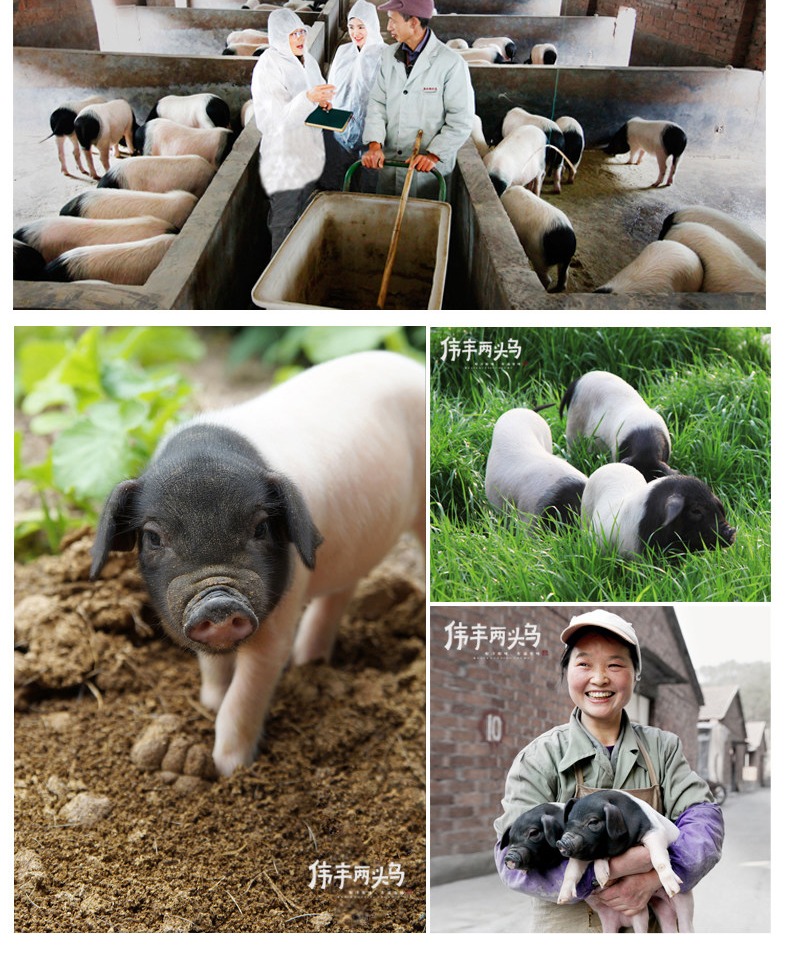 伟丰两头乌广式腊肠香肠400g烤肠肉肠咸甜味正宗广味
