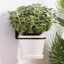 Round flower pot stand wall hanging plant storage balcony large green decorative plate coarse iron potted shelf