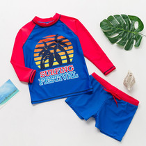 Foreign trade new childrens swimsuit boy split long sleeve swimsuit middle child coconut print Boy surf swimsuit
