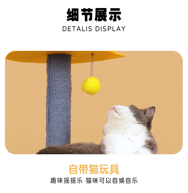 TP02901 Galaxy Meow Meow Demond Команда Page_01 (12) .jpg