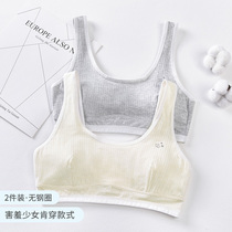 Girls underwear During development Primary school students over the age of 13 Wear pure cotton childrens anti-bump in small vests