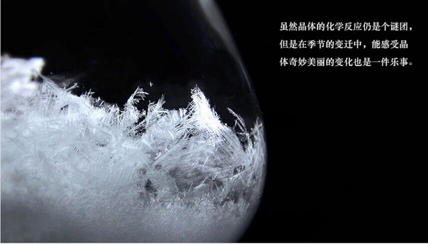 包邮 樟脑250g 樟脑片 樟脑块 樟脑粉