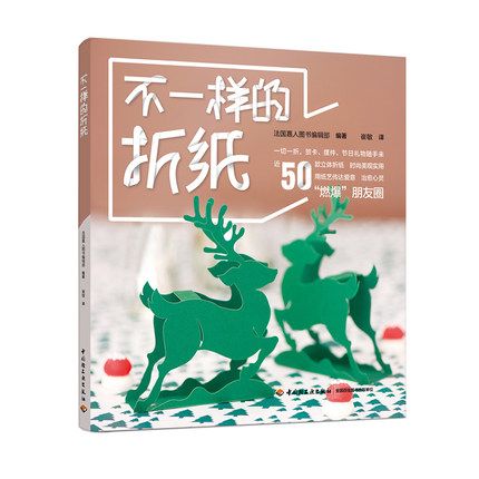 不一样的折纸 手工折纸艺术书籍基础教程 DIY节日礼物折纸剪纸手工简单贺卡礼物 动物花卉造型图案大全 手工折纸制作步骤详解书