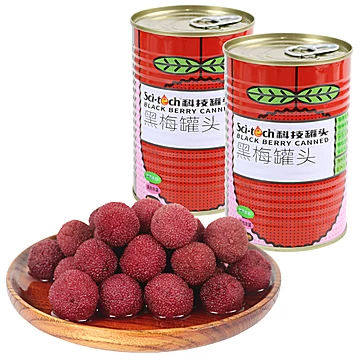 【黑莓罐头】425*5罐杨梅罐头[10元优惠券]-寻折猪