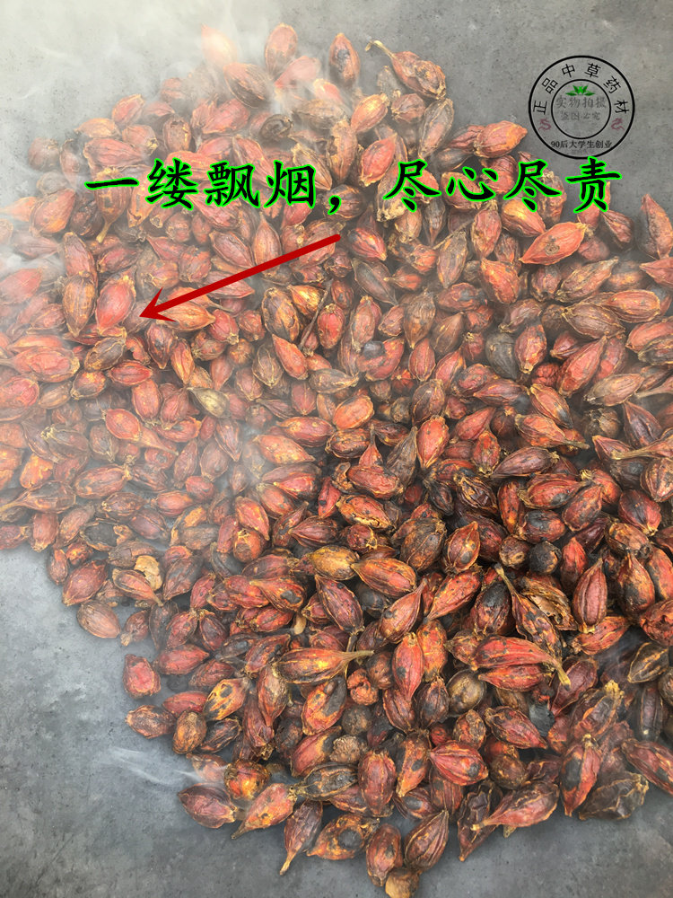 炒栀子 熟小栀子制山栀子500克中药材花果茶红栀子果实焦栀子正品