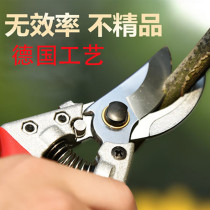 German craft roller skating pruning shears Labor-saving pruning is designed for fruit farmers to design a top ten multi-functional gardening shears