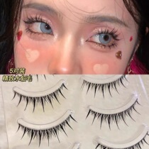 Upper New Front 10 Boxes Seconds Kill Price Electric Eyes Small Demons Fake Eyelash Light and America Grinding Tips Fairy Tail Thick W22