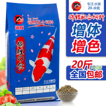 Koi fish feed goldfish general floating particles fish food special breeding is not muddy water color Yang fish food