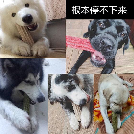 개 간식 개 간식