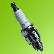 The spark plug