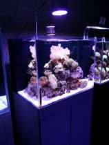 Xilang A7 series full spectrum LED seawater tank LPS SPS Coral professional lamps Large-scale engineering aquarium lights