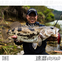 DNE goes to Asia speed diving SHAD long tongue board long throw deep diving slow floating Mino mandarin fish bass 8 3 grams Luya fake bait