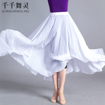 Dance chiffon skirt childrens big dress skirt skirt elegant classical modern dance practice dress ballet performance skirt