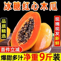 10kg Yunnan Red Papaya Mountain Sweet Papaya Fresh Fruit Xishuangbanna Milk Papaya