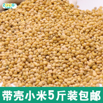 zoog parrot feed bird grain thrush parrot yellow millet with Shell millet Xuanfeng starlings food feed bird food