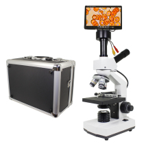 A drop of blood detector microscopy HD to see sperm mites eggs blood cell breeding Aquatic fish disease