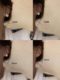 여성 가을과 겨울을위한 흰색의 대형 진주 삼각형 귀 클립이 귀여운 귀걸이가없는 새로운 복고풍 기질 고급 귀걸이 귀걸이 여성 가을과 겨울을위한 흰색의 대형 진주 삼각형 귀 클립이 귀여운 귀걸이가없는 새로운 복고풍 기질 고급 귀걸이 귀걸이