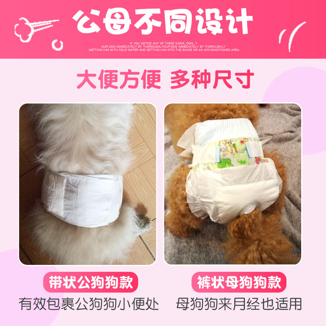 Pet aunt towel women dog menstrual pants women diaper male dog men menstrual pants ສຸຂະອະນາໄມ ແລະປອດໄພ Teddy cat diaper