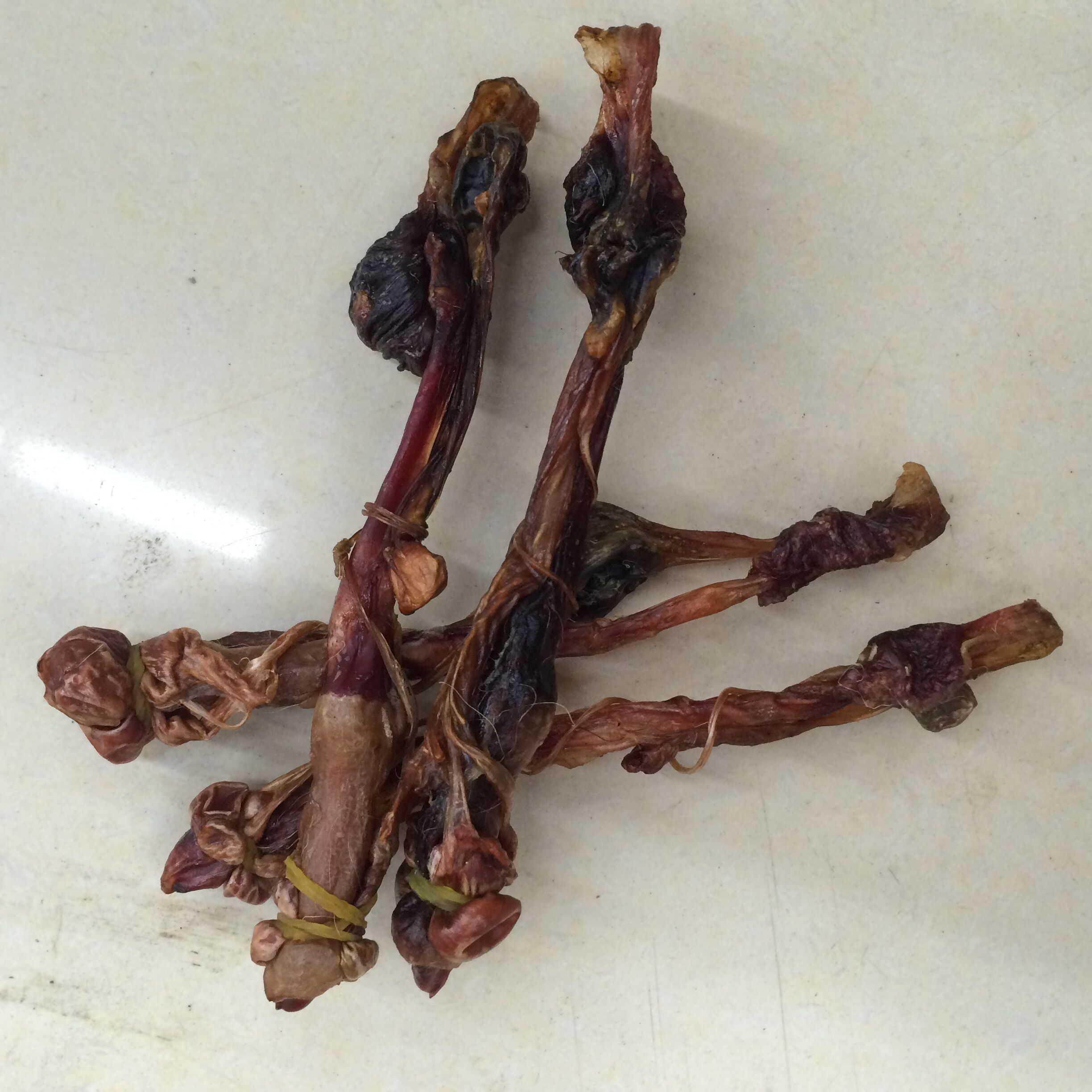 正品海狗鞭 海狗肾 泡酒料 煲汤料 9.9一大条 5条全国包邮