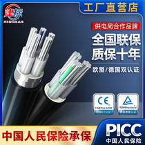 National standard aluminum core cable 2 3 5 core 16 25 35 50 120 square aluminum wire wire aluminum cable Outdoor