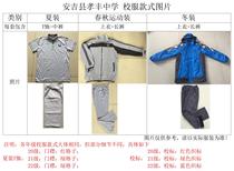 Hangzhou Shixing School Clothing Anji County Xiafeng Middle School Summer Clothing Spring and Autumn Sports Clothing School Clothing